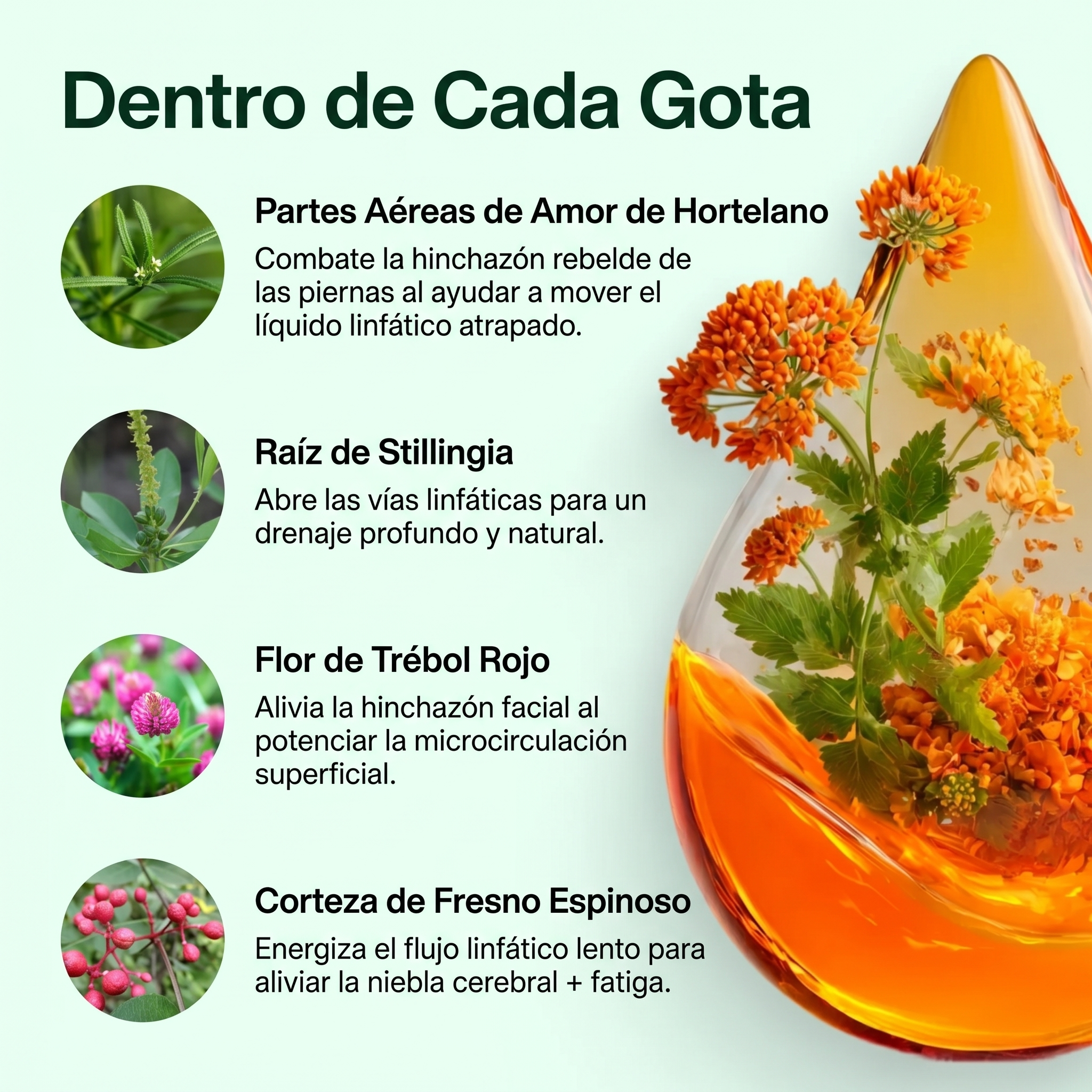 Drenaje Linfático Velira 100% Vegano