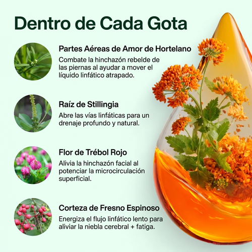 Drenaje Linfático Mayaverra — Gotas Naturales